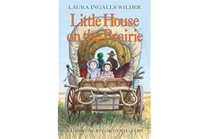 Little house on the Prairie