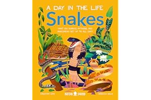 Snakes (A Day in the Life): What Do Cobras, Pythons, and Anacondas Get Up to All Day?: 8 (A Day in the Life, 8)