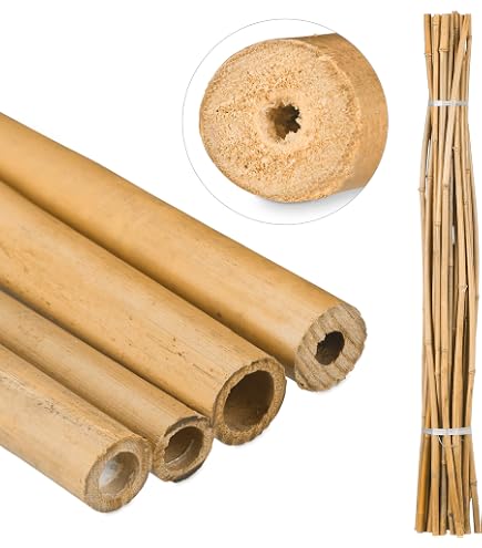 50 Bambusstbe - Bambusstangen 152 cm lang/ 10-12 mm dick : Amazon.de:  Garten