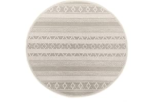 the carpet Calgary - robusto tappeto per esterni, resistente alle intemperie e ai raggi UV, per balcone, terrazza, giardino d'inverno o cucina e sala da pranzo, 160 cm tondo, Beige