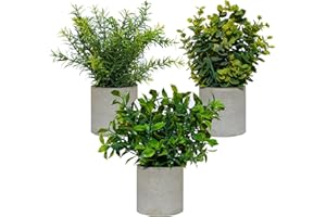 DANISCH 3 Sets Mini Potted Artificial Plants Indoors in Pots Fake Plants Eucalyptus Faux Plants Rosemary Plants for Office Desk Kitchen Bedroom Garden Indoor Outdoor Home and Room Decor