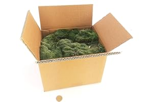 POWERS TO FLOWERS - MUSCHIO A STRATI NATURALE PER PIANTE DA INTERNO, IDEALE ANCHE PER KOKEDAMA e PRESEPE, muschio vero