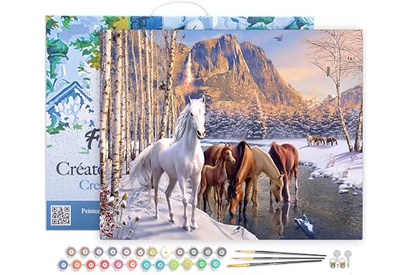 Figured'Art Peinture par Numéro Adulte avec Cadre Chevaux à la fin de l'hiver - Activité Manuelle Kit de Loisir Créatif DIY Numéro d'Art Complet - 40x50cm toile tendue sur châssis