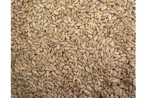 Sunflower Seeds 1KG - Premium Sunflower Seed Kernels - Bulk Bag - Ready to Eat - Blue Forest Foods