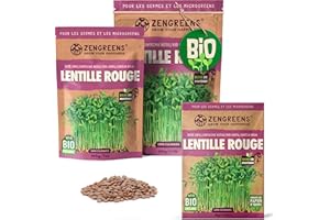 ZenGreens® - Graines de lentille rouge bio - Choisissez entre 10g, 200g et 500g - Graines de lentille rouge avec un taux de germination supérieur à 97% - Microgreens