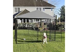 LUCKY DOG Chenil Exterieur XL pour Chien de Grande et Moyenne Taille - Design et Solide en Acier – Enclos avec Toit et Double Porte d’Attente et de détente – Montage Rapide (Executive 2,4m x 2,4m x 2,28m)