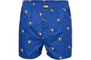 Happy Shorts Męskie bokserki amerykańskie bokserki, bokserki internetowe, meksykański kaktus, meksykański kaktus - Mexican Cactus