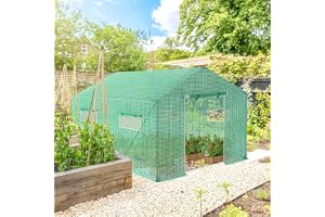 FIVMEN Växthus folieväxthus 3 x 2 x 2 m, trädgårdsväxthus med fjärrkontroll och dörr växthus tomatväxthus för trädgårdsväxt