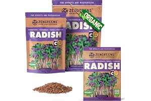 ZenGreens® - EKO Rädisa Rambo Frön - Välj mellan 10, 200g och 500g - Rädisa Rambo Frön med en grobarhet på över 97 procent
