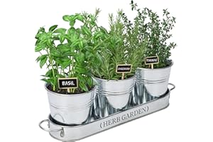 PERFNIQUE Jardinière d'herbes aromatiques d'intérieur pour intérieur/extérieur, Pots de Fleurs de Ferme, kit de Jardin d'herbes aromatiques avec Plateau, Pots de fenêtre pour Plantes d'intérieur