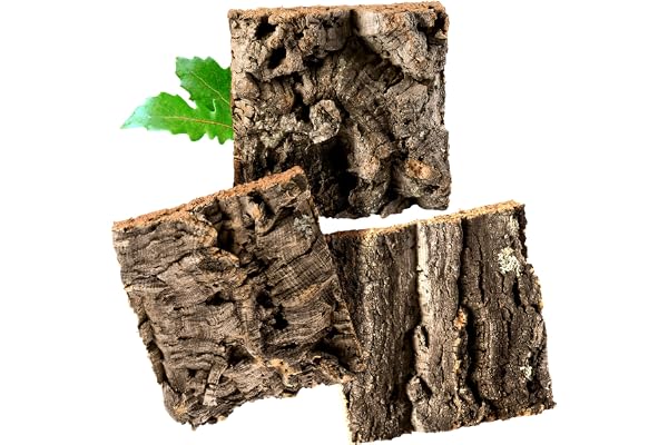 Kork-Deko Écorce de liège (Rongeur, Reptile, décoration, modélisation, modélisation, modélisme ferroviaire) liège Bois Arbre chêne (3 pièces)