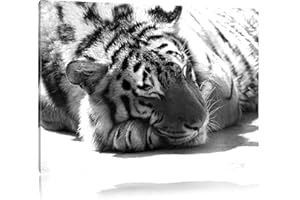 PIXXPRINT Sleepy magnifique tigre noir / blanc Taille: 100x70 sur toile, XXL énormes Photos complètement encadrées avec civière, impression d'art sur murale avec cadre, moins cher que la peinture ou une peinture à l'huile, pas une affiche ou une bannière,