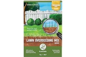 Plantura Lawn Overseeding Mix, Fast-Germinating Premium Lawn Seed, 50m², 1kg