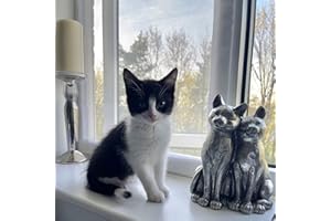 Flat Cats window screens - Standard Screens - Selection of sizes (60cm x 110cm, White Mesh/White Fixings)