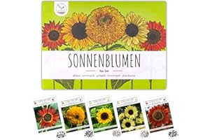 HAPPYSEED Semillas de girasol de colores con alta tasa de germinación - semillas de flores para un colorido y amigable jardín de abejas (set de 5)