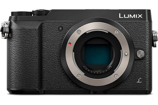 Panasonic Lumix GX80K | Appareil Photo Hybride Compact + Objectif Lumix 12-32mm (Capteur 4/3 16MP, Double stabilisation, Viseur, Écran inclin. tact., AF DFD, Vidéo 4K) Noir – Version Française