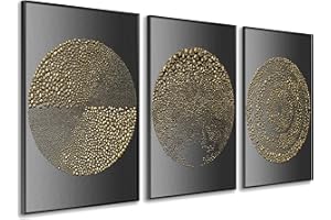 DekoArte - Cuadros decoracion salon modernos CIRCULOS MINIMALISTAS 50x70 cm x3 piezas - Cuadros con marco color negro incluido