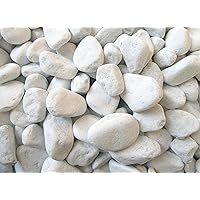 Xabian 5kg Dekosteine weiß 25-40mm wählbar auch 1kg - 10kg - 20kg