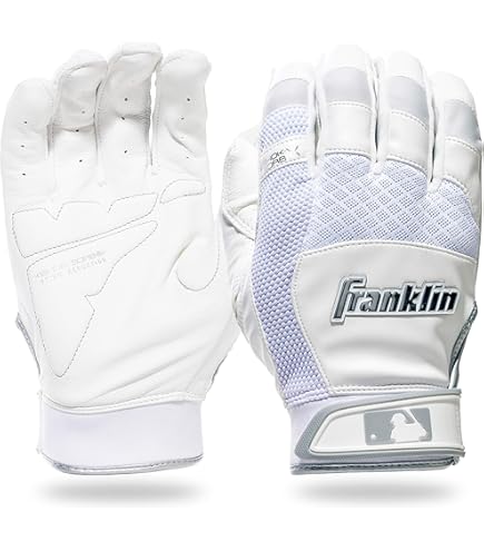 Rawlings Workhorse Schlaghandschuh – Robuster Baseball-Handschuh Mit Ölac-Leder Und Dynamischem Passform-System
