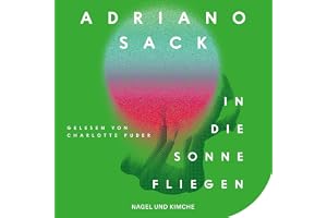 In die Sonne fliegen: Roman