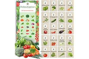 TORAF Gemüsesamen Set 20 Sorten – Premium Saatgut für Garten, Balkon & Hochbeet – Artischocke, Brokkoli, Rosenkohl, Tomate, Gurke, Rucola, Kopfsalat, rote Zwiebeln, Chili – Anzuchtset Gemüsepflanzen