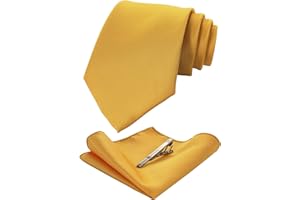 JEMYGINS Cravatta Uomo Formali Matrimonio Riunirsi Occasioni Multicolore con Fazzoletto e Fermacravatta