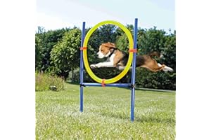PET PRIME Chiens de Compagnie Jeux de Plein air Équipement de Formation d'exercice d'agilité Kit de démarrage d'agilité Barre de Saut de Cerceau de Saut