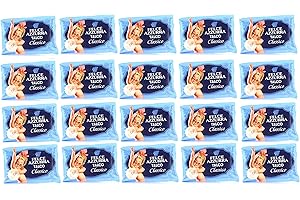 20x PAGLIERI Felce Azzurra Talco Classico Körperpuder Talkpuder 100 g Nachfülla und Robusta in Beuteln mit einem Aroma-Saver-Ventil, 1.000 Gramm Körner.