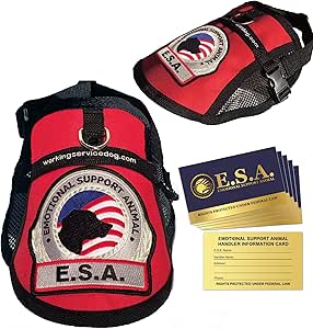 esa vest amazon