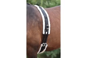 Shires - Rouleau de longe pour chevaux (Poney) (Noir)
