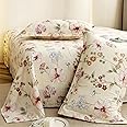 Story@Home King Size Bedsheet | Cloud Cotton Flatsheet King Size with Two Pillow Covers| 300 TC | Super Soft Bed Sheet for King Size Bed | Floral Design (270 x 250 cm, Off White & Red)