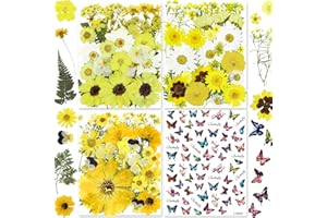 34 Types 143PCS Yellow Dried Pressed Flowers for Resin - YouthBro Real Nature Flowers Herb Set for DIY Jewelry Candle Soap Vase Making Nail Card Scrapbook Art Craft Floral Decors