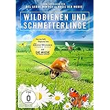 Wildbienen und Schmetterlinge