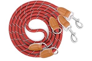 PETCOOZ Smycz treningowa dla psów, regulowana podwójna końcówka, 3 m, dla średnich i dużych psów, profesjonalna smycz odblaskowa, zatrzymująca ciągnięcie, kontrola ciągnięcia, bez użycia rąk, do