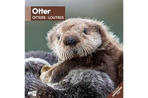 Otter Broschürenkalender 2026 - 30x30 - Art12 | Niedlicher Tier-Kalender im schlanken Hochformat (aufgeklappt 30x60 cm) | mit Eintrage-Kalendarium