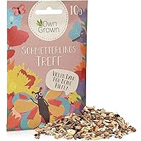 Schmetterlingstreff Blumenmischung: 10g Premium Schmetterling Blumensamen Saatgut - Insektenfreundliches Bienenweide…
