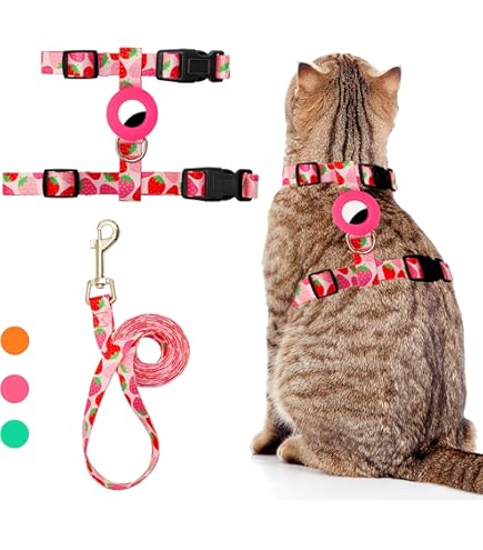 Kattenharnas