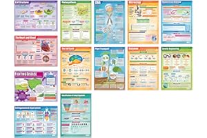 Daydream Education Biology Posters - Set of 13 | Science Posters | Gloss Paper measuring 850mm x 594mm (A1) | Science Charts for the Classroom | Education Charts