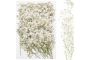 Cayway 120 Pièces Fleurs Séchées Pressées Naturelles, Fleurs Célestes Pressé Fleur Décoratives pour Scrapbooking Artisanat, Bricolage Art Décorations Florales Décors