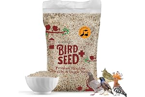 Egardenkart® Bird Food Daily Budget-Friendly - 10 Kg, Bird Seed | Wild Bird Feed for all Types of Wild Birds | Birds Food for Small Birds Dove Pigeon Myna Lark Bulbul Sparrow Hoopoe Seed Mix (10)