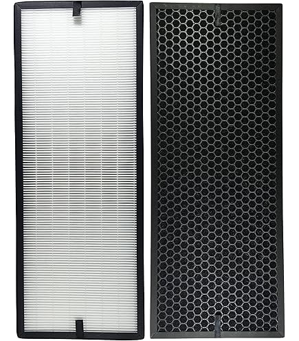 vhbw 2x Filtre à charbon actif compatible avec Rowenta Intense Pure Air XL PU6010, PU6020
