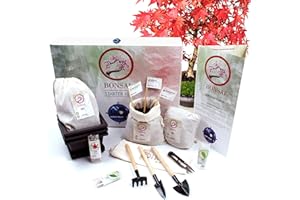 NOSY NOMAD Kit de Bonsái | Kit Premium de Iniciación a los Bonsáis - Incluye: 3 Tipos de Semillas de Bonsái (Arce Rojo, Zelkova y Chino), 3 Macetas, Tierra y Herramientas Especiales