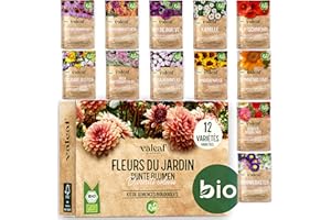 valeaf kit de grain fleurs I assortiment de semences prêt à pousser I 12 variétés de fleurs du jardin I graines pour le jardin, potager et balcon extérieur