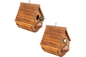 COLEBA Set of 2 Bird Houses for Outside,Outdoor Bird House Bird Families Bluebird Finch Cardinals Hanging Birdhouse for Garden