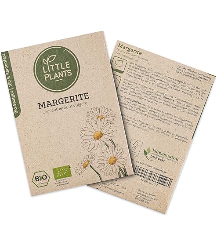 Sonnenhut Samen Rudbeckia Laciniata - 200 Stück Winterharte Stauden