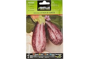 Semillas Batlle – Aubergine Aubergine de Gandie