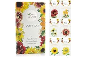 OwnGrown - Kit de Graines de Tournesol et de Fleurs d'Extérieur - Set de Jardinage de Qualité Supérieure
