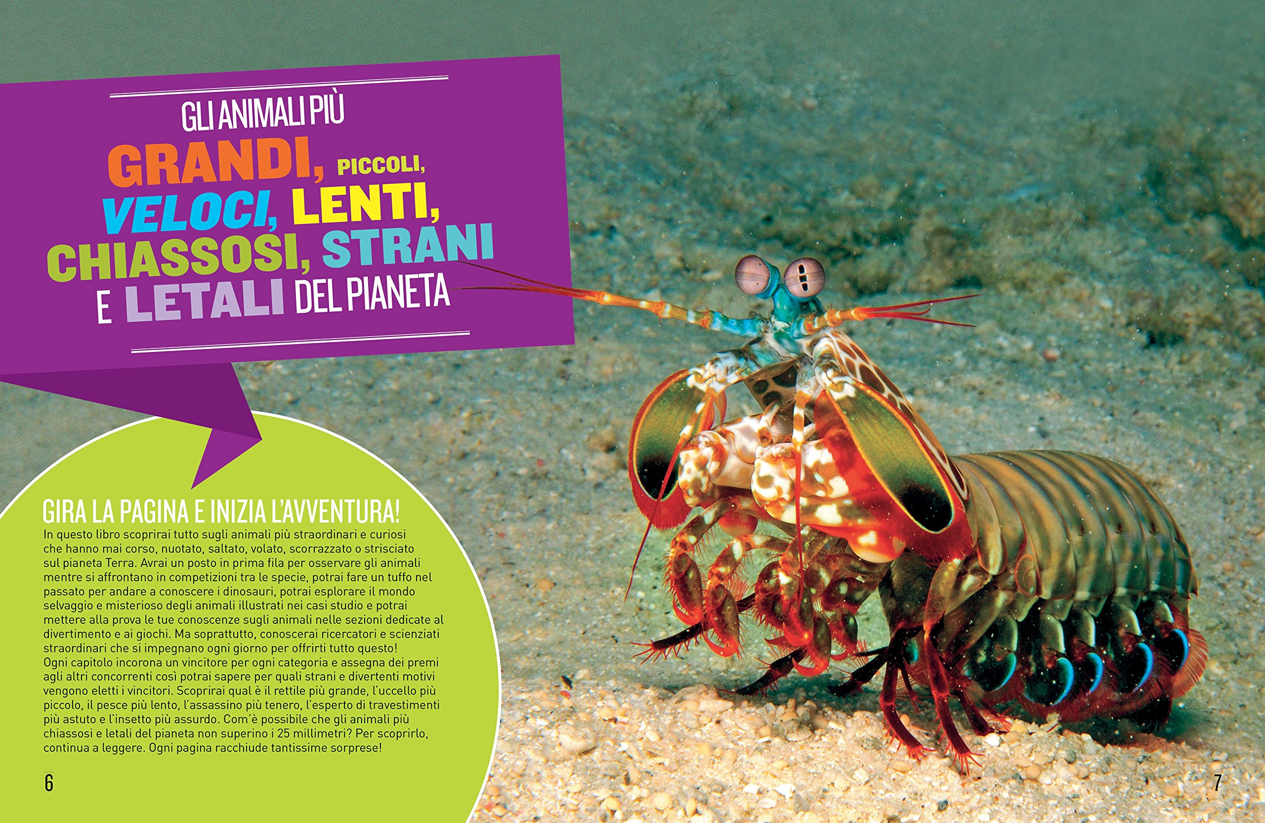 Animali da record. Le specie più grandi, più disgustose, più veloci, più pericolose, più puzzolenti e più piccole del…