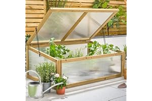 Christow Raised Bed Cold Frame Greenhouse, FSC Wooden Garden Grow House for Vegetables & Plants, Polycarbonate UV-Stabilised Panels for Strong, Healthy Growth, Natural Wood, 100cm x 65cm x 40cm
