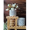 Niyara Blue Drop line Design Stylish Large Ceramic Pots Combo Planters for Indoor Plants,Outdoor,Balcony,Home,Garden,Office Size -8 inches & 6 Inches (Blue Drop Combo)
